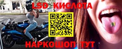 СК Малоярославец