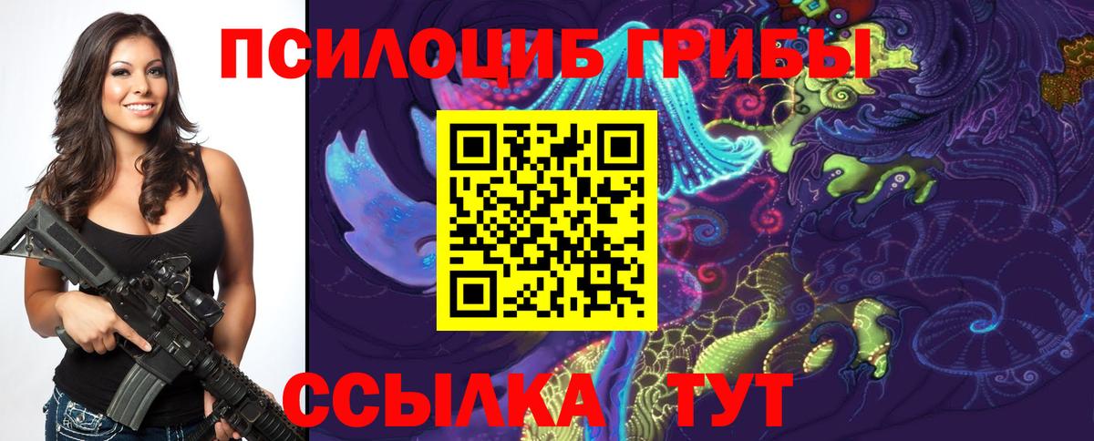 дарнет шоп  Псилоцибиновые грибы прущие грибы  Вход с VPN  Чехов 